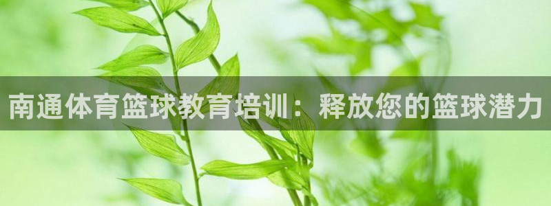 焦点娱乐招商注册 知乎：南通体育篮球教育培训：释放您