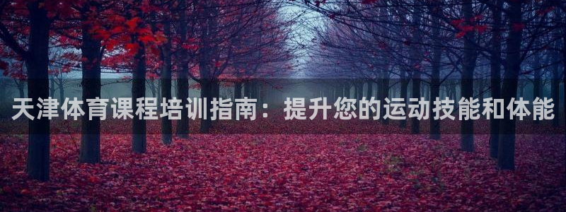 焦点娱乐拉菲11月9日